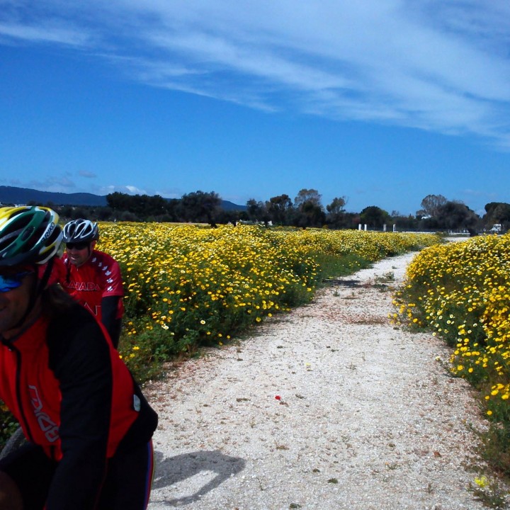 Bike Excursions