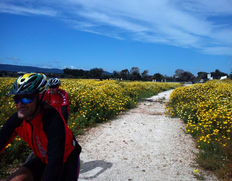 Escursioni in bicicletta