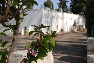 © Masseria Don Sante